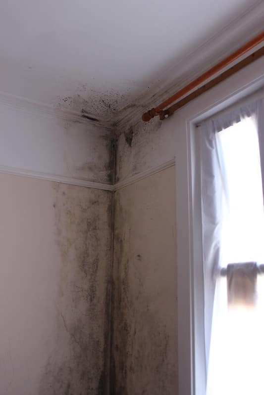 A building in disrepair