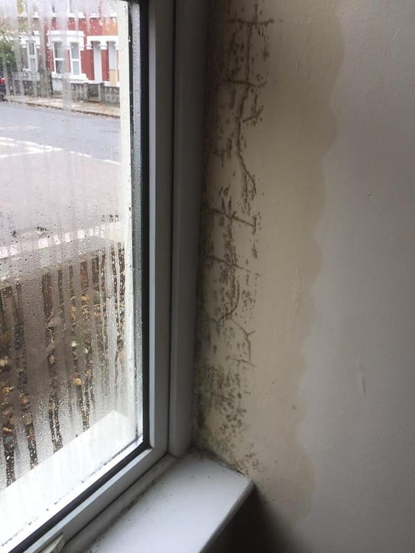 A window showing damp around due to disrepair