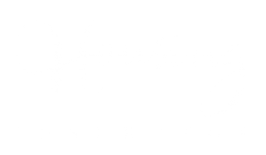 The Housing Inspector